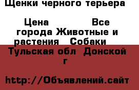 Щенки черного терьера › Цена ­ 35 000 - Все города Животные и растения » Собаки   . Тульская обл.,Донской г.